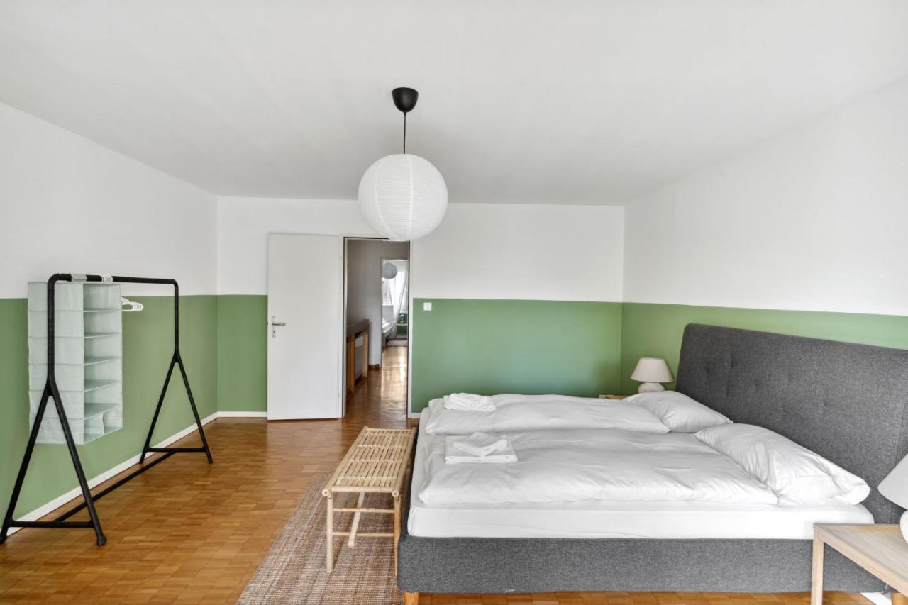 Cozy Apartments Close To The Center Of Zurich Forch Exterior foto